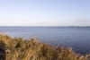 Lolland-2015-IMG_7708