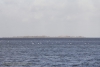 Lolland-2015-IMG_7775